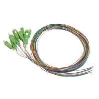Pigtail-Set, 12 Stück, SM, SC/APC, farbig, 2 m, Maunt